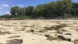 Falls of the Ohio