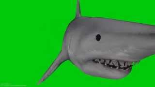 Greenscreen Shark HD