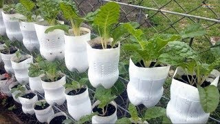 Best ideas! - Brilliant Ways To Reuse Plastic Bottles Garden