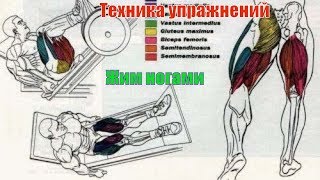 Жим ногами. Правильный Бодибилдинг. Техника #31