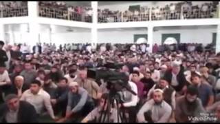 Братья ингуши в поддержку Хамзата Чумакова