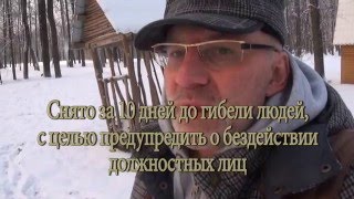 Нападения медведей на человека - почему в России гибнут люди от нападения медведей