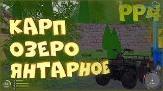 Карп на озере Янтарное • Русская рыбалка 4 • Ловля на новые оснастки