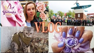 VLOG: ОПЕРАЦИЯ ПЛЮШИ, новый МАНИКЮР, почему кошка БЕЗ ХВОСТА?, БЕССМЕРТНЫЙ ПОЛК