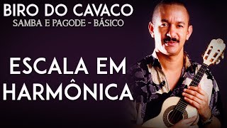 Biro do Cavaco: Samba e Pagode - Básico - Escala em Harmônica