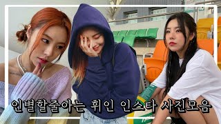 [마마무 휘인]스타그램 사진모음 갬성_인별_의인화 이중에 최애사진은? (극락 주의)