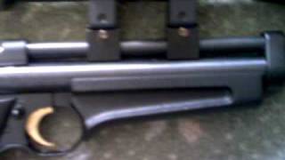 My Custom Crosman 2250 after some mods.