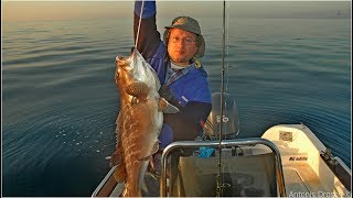 White Grouper Trolling-Σφυρίδα στο φύλακα