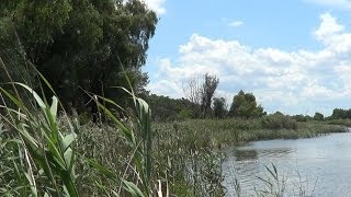 Где отдохнуть или порыбачить в Черкассах