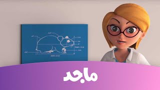 مدرسة البنات - فأر في المدرسة ج1 - قناة ماجد  MajidKidsTV