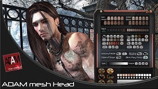 ADAM Mesh Head 1
