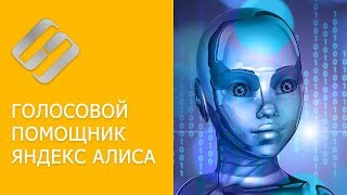 Как скачать и установить голосовой помощник Яндекс Алиса на Windows ПК, Android, IOS ???