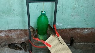 Best Mouse Trap/PVC Water Bottle Mouse Trap/Idea Mouse Trap