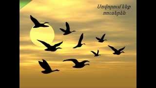 Учим русский язык, Птицы/Սովորում ենք ռուսերեն, Թռչուններ