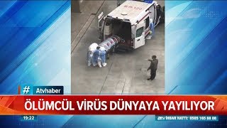 ''Corona'' virüsü dünyaya yayılıyor - Atv Haber 21 Ocak 2020