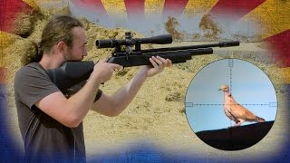 The FX Streamline's Debut Hunt (4K)
