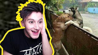 ZKUS NEŘÍCT "AWW" CHALLENGE 2 ! ?