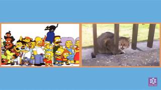 Cats Meowing SIMPSON Theme Song (short excerpt) (A cappella)