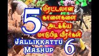 மிரட்டலான 5 காளைகளை அடக்கிய மாஸ் மாடுபிடி வீரர்கள் / Jallikattu Mashup 6 best Jallikattu
