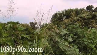 UNBOXING/TEST VIDEO DE VIDEOCAMRA PANASONIC HC-V250