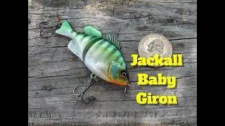 Jackall Baby Giron Swimbait a Bluegill Magnet, Fishing Before Hurricane Florence Hits!