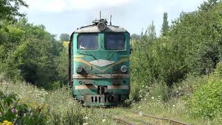 Тепловоз ползет по зарослям. Секция 2ТЭ10Л-2077Б следует по перегону Редиул-Маре — Брэтушень