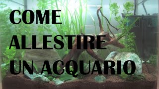 Come allestire un acquario d'acqua dolce (tank) 25 litri | Aquarium setup