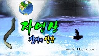 장어와 인간, eel and human, うなぎと人間, 鳗鱼和人