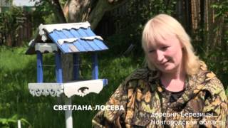 необычный дом или дача  дом автобус