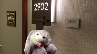 [olutra:0034]グランドアイランダーに着きました！ / The Grand Islander by Hilton Grand Vacations