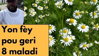 Yon Fey  Pou Geri 8 maladi | Ann rete an sante ak Fey Natirel yo