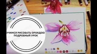 Урок рисования _ Учимся рисовать орхидею маркерами