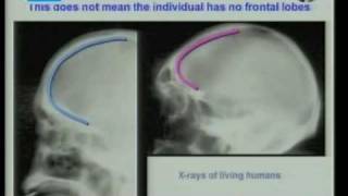 Evidence against evolution (Part 6 of 6) One small speck to man - the evolution myth
