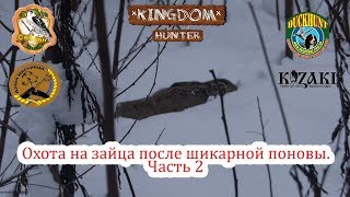Охота на зайца после шикарной поновы.  Часть 2