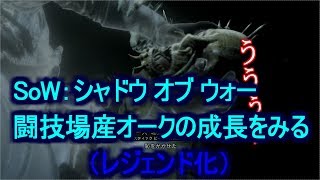 シャドウ・オブ・ウォー 闘技場産オークをみる レジェンド化 Shadow of War