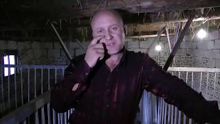 революция в сельском хозяйстве  № 1.Обучение онлайн.Заработок на свиньях