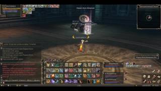 Награда за квест "План по захвату за 100 дней" - Cadmus - Ruoff - Lineage II Helios, Lord of Bifrost