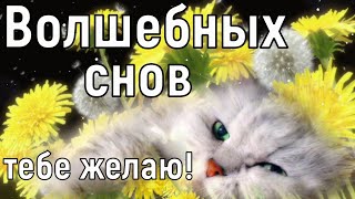 ДОБРОЙ НОЧИ СЛАДКИХ СНОВ! ДОБРЫЕ пожелания СПОКОЙНОЙ НОЧИ ! КРАСИВАЯ видео открытка с пожеланиями !