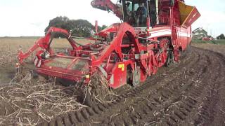 Grimme Tectron zbiór ziemniaków