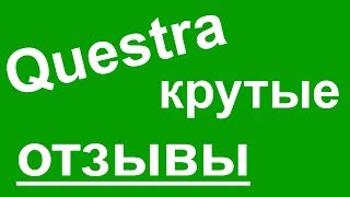 Questra World крутые отзывы