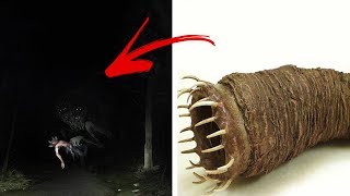 7 ЖУТКИХ РОЛИКОВ ОТ КОТОРЫХ ТЫ ОФИГЕЕШЬ / ПОПРОБУЙ НЕ ИСПУГАТЬСЯ