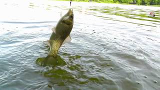 ПОКЛЕВКИ на поплавочную удочку.Fishing.  Рыбалка на озере Карасун, Краснодар