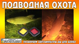 ПОДВОДНАЯ ОХОТА - Тестируем светофильтры для камеры GoPro