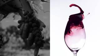 'El origen de una gran idea', de Kitchen para Ribera del Duero