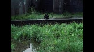 Stay Out ФАРМ ВЕРЛИОК  КАКИМ ОРУЖИЕМ