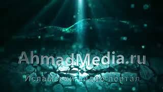Салахуддин аль Аюби - Шейх Захир Махмуд. [AhmadMedia.ru]