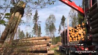 Загрузка лесовоза с помощью лесного манипулятора Loglift 105 S