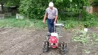 Мотоблок Титан ВК-65 Honda GX160