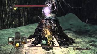 Dark Souls 2: SotFS - Без костров и Смертей/Ковенант чемпионов [Part 8/8]