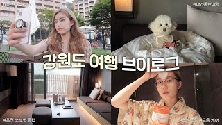 [VLOG] 장마 전 떠난 강원도 여행 브이로그 요즘 나만의 좁쌀 여드름 케어 ‍ ️ 홍천 소노펫 호캉스 | 강아지계의 5성급 신라호텔 | 홍천 맛집 투어